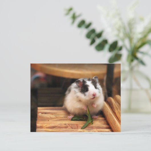 Hamster Briefkaart (Staand voorkant)