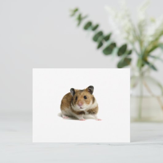 Hamster Briefkaart (Staand voorkant)