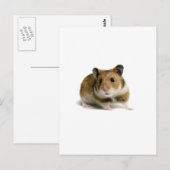 Hamster Briefkaart (Voorkant / Achterkant)