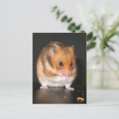 Hamster Briefkaarten (Staand voorkant)