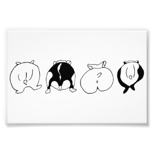 Hamster Butts Foto Afdruk