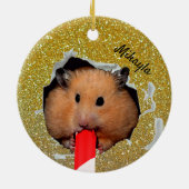 Hamster Chews Hole in Glittery Golden Ornament (Achterkant)