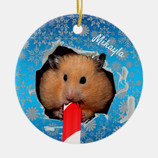 Hamster Chews Hole in kerstversiering Keramisch Ornament (Voorkant)