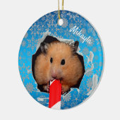 Hamster Chews Hole in kerstversiering Keramisch Ornament (Links)