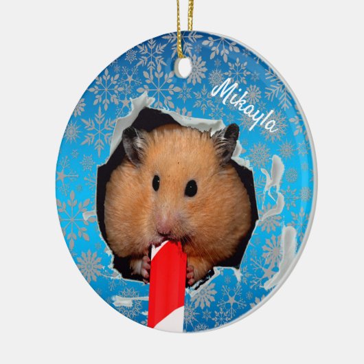 Hamster Chews Hole in kerstversiering Keramisch Ornament (Links)