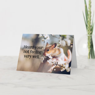 Hamster Child's Get Well Card Kaart