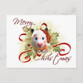 Hamster Christmas Briefkaarten (Voorkant)