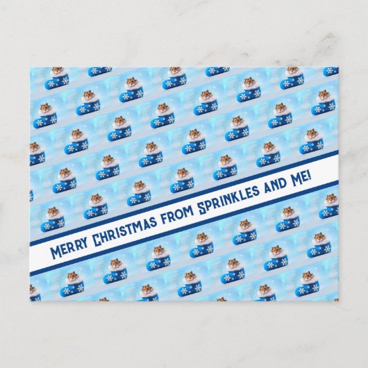 Hamster Christmas Stocking Fotocollage Feestdagenkaart (Voorkant)