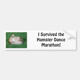 Hamster Dance Marathon Bumpersticker