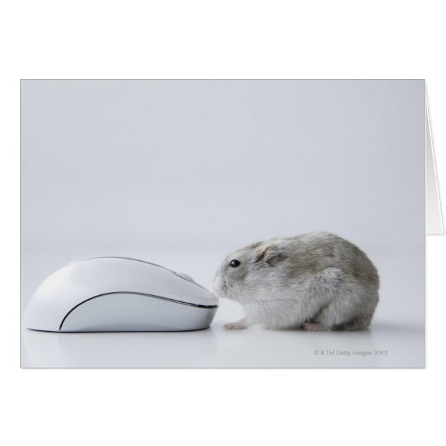 Hamster en computermuis (Voorkant Horizontaal)