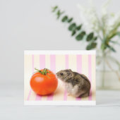 Hamster en tomaat briefkaart (Staand voorkant)