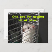 Hamster Escape Briefkaart (Voorkant / Achterkant)