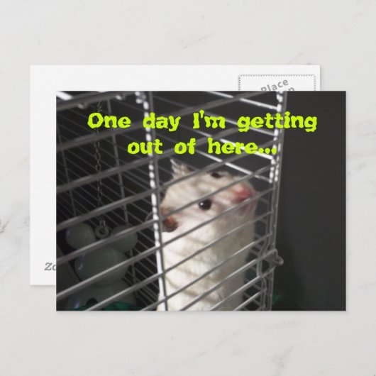 Hamster Escape Briefkaart (Voorkant / Achterkant)