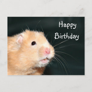 Hamster Happy Birthday Briefkaart