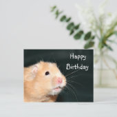 Hamster Happy Birthday Briefkaart (Staand voorkant)