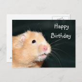Hamster Happy Birthday Briefkaart (Voorkant / Achterkant)