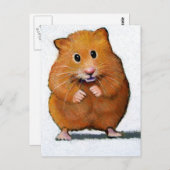 HAMSTER IN KLEURENPENCIL BRIEFKAART (Voorkant / Achterkant)