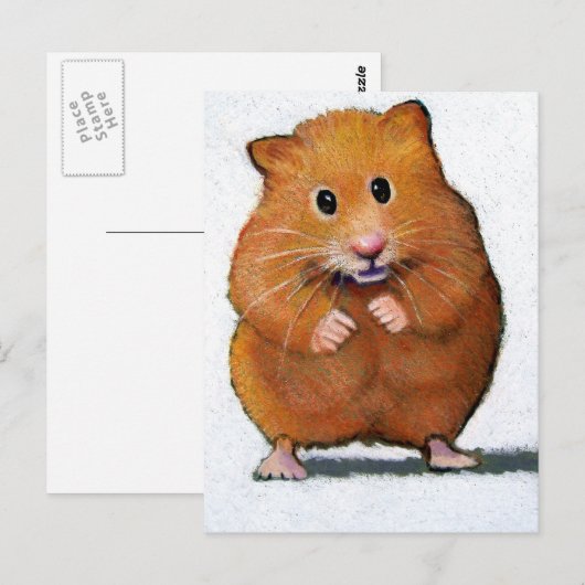 HAMSTER IN KLEURENPENCIL BRIEFKAART (Voorkant / Achterkant)