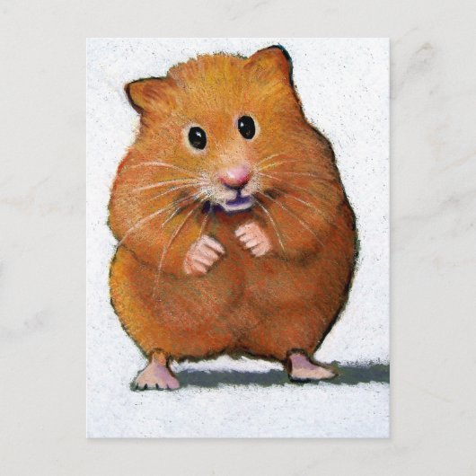 HAMSTER IN KLEURENPENCIL BRIEFKAART (Voorkant)