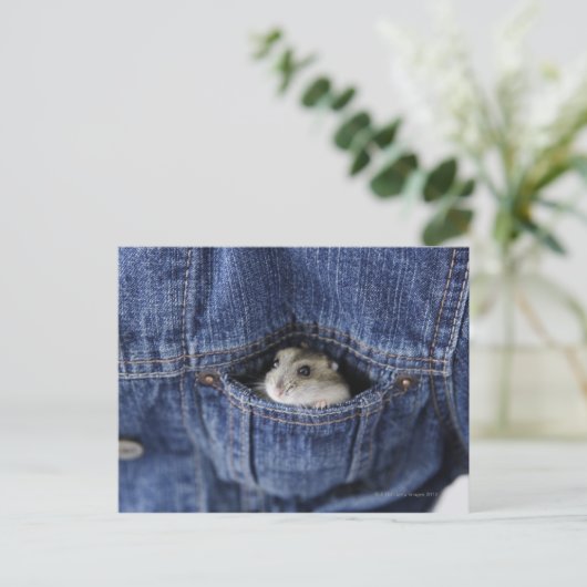 Hamster in zak briefkaart (Staand voorkant)