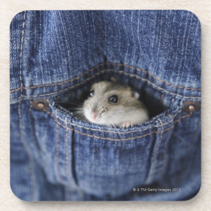 Hamster in zak drankjes onderzetter