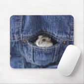 Hamster in zak muismat (Met muis)