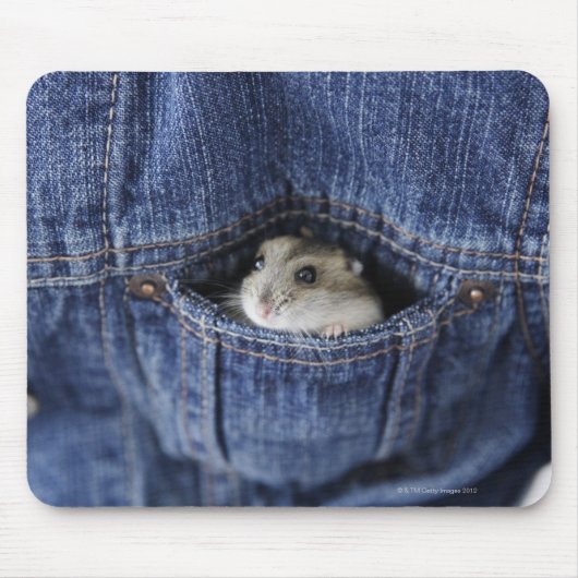 Hamster in zak muismat (Voorkant)