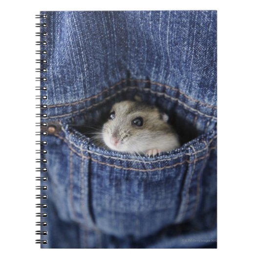 Hamster in zak notitieboek (Voorkant)