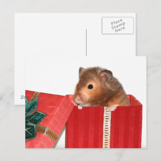 Hamster kerstcadeau feestdagenkaart (Voorkant / Achterkant)