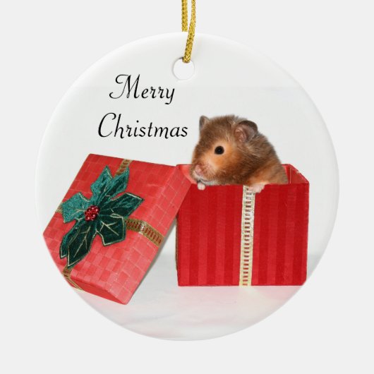 Hamster kerstcadeau keramisch ornament (Voorkant)