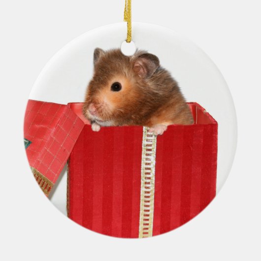 Hamster kerstcadeau keramisch ornament (Achterkant)