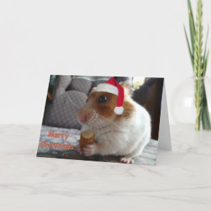 Hamster kerstkaart feestdagen kaart