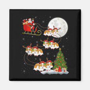Hamster Kerstman slee van vliegende grappige magis Magneet