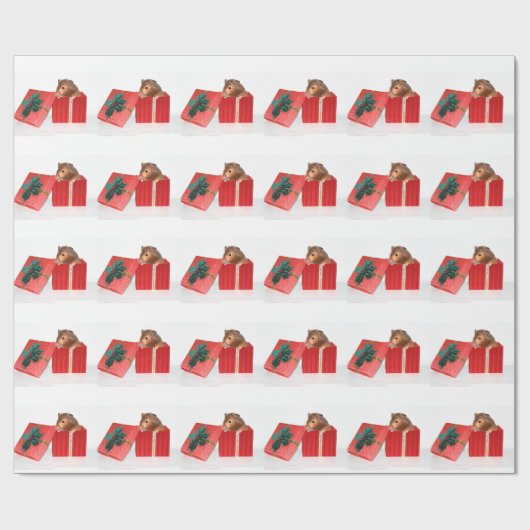 Hamster Kerstmis Cadeaupapier (Vlak)