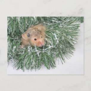 Hamster Kerstmis Feestdagenkaart