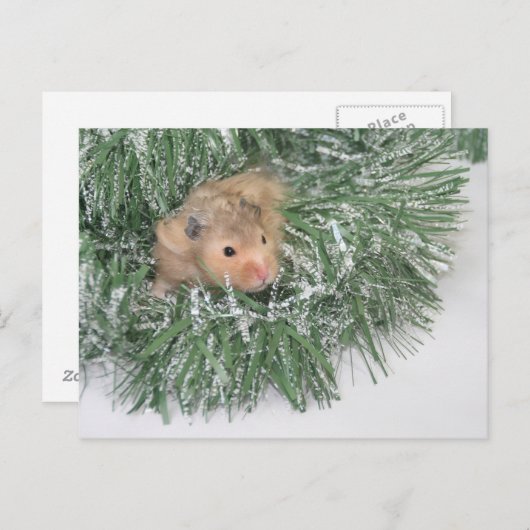 Hamster Kerstmis Feestdagenkaart (Voorkant / Achterkant)