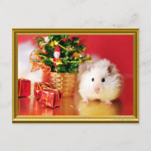Hamster Kokolinka met kerstboom Feestdagenkaart