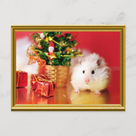 Hamster Kokolinka met kerstboom Feestdagenkaart (Voorkant)