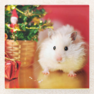 Hamster Kokolinka met kerstboom Glazen Onderzetter
