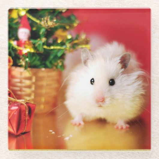 Hamster Kokolinka met kerstboom Glazen Onderzetter (Voorkant)
