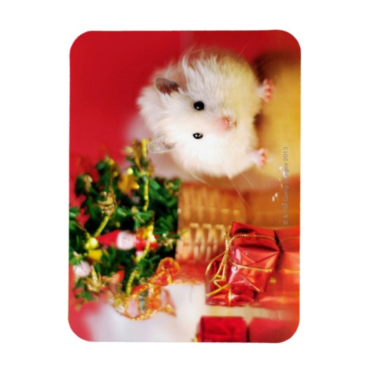 Hamster Kokolinka met kerstboom Magneet (Verticaal)