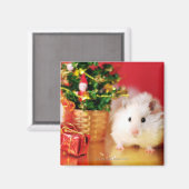 Hamster Kokolinka met kerstboom Magneet (Voorkant / Achterkant)