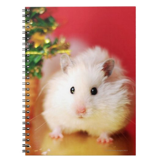 Hamster Kokolinka met kerstboom Notitieboek (Voorkant)