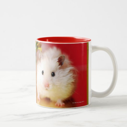 Hamster Kokolinka met kerstboom Tweekleurige Koffiemok (Rechts)