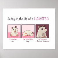 Hamster Life