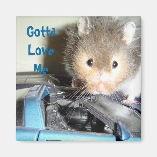 Hamster Love Magneet (Voorkant)