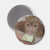 hamster magneet (Voorkant / Achterkant)