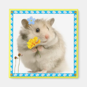 hamster magneet