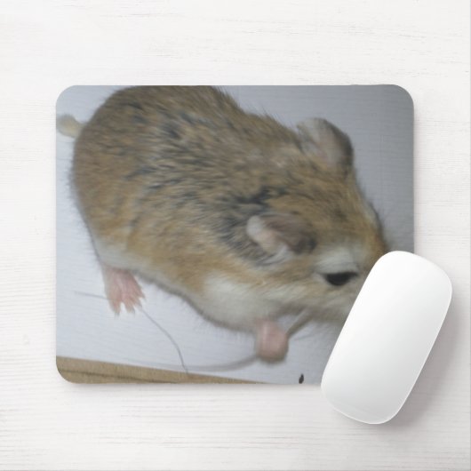 Hamster Mat Muismat (Met muis)