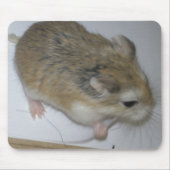 Hamster Mat Muismat (Voorkant)